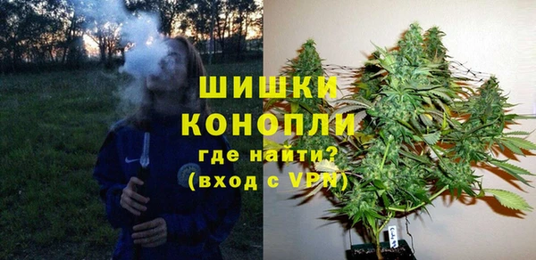 прущие грибы Ладушкин