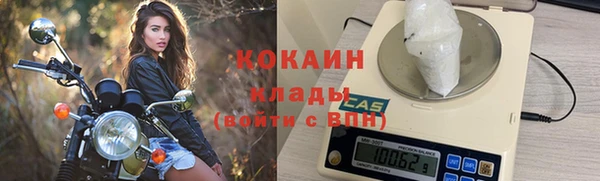 прущие грибы Ладушкин