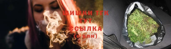 прущие грибы Ладушкин