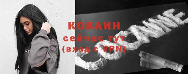 прущие грибы Ладушкин