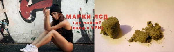 прущие грибы Ладушкин
