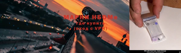 прущие грибы Ладушкин