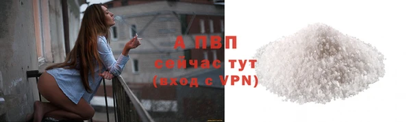 прущие грибы Ладушкин