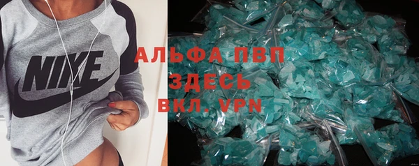ГАЛЛЮЦИНОГЕННЫЕ ГРИБЫ Кукмор