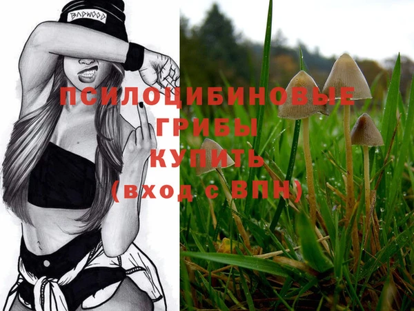 винт Лабытнанги