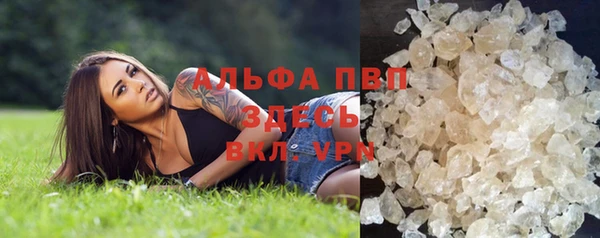 винт Лабытнанги