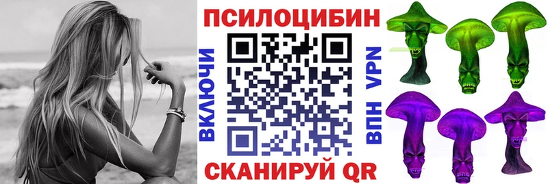дарнет шоп  Костерёво  Псилоцибиновые грибы Psilocybe 